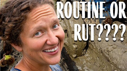 Change Your Life - Break Free From Your Rut - Farmer Mary Field Notes (Week 38)