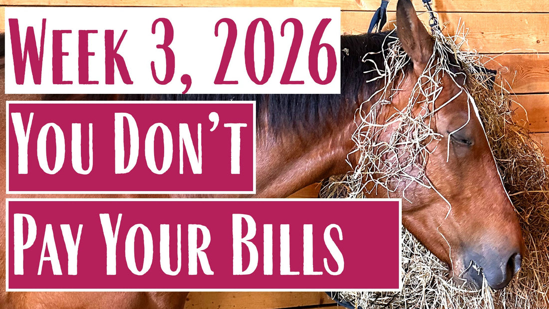 Why Rural Veterinary Care is So EXPENSIVE  - Farmer Mary Field Notes (Week 3, 2026)