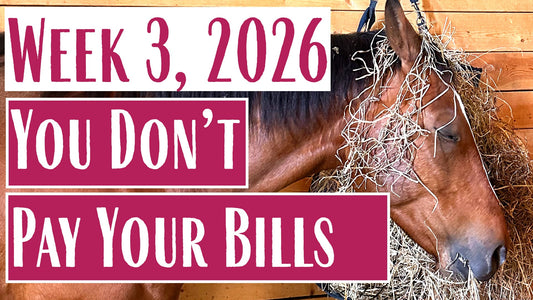 Why Rural Veterinary Care is So EXPENSIVE  - Farmer Mary Field Notes (Week 3, 2026)