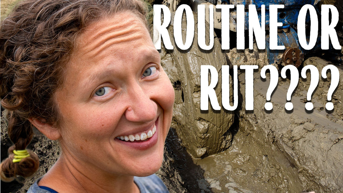 Change Your Life - Break Free From Your Rut - Farmer Mary Field Notes (Week 38)