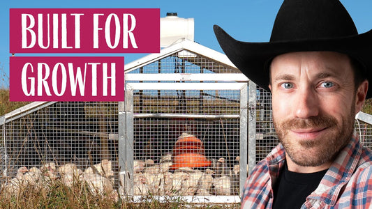 This Chicken Tractor Saved our Farm - Review of the Happy Farmer Aluminum Chicken Tractor