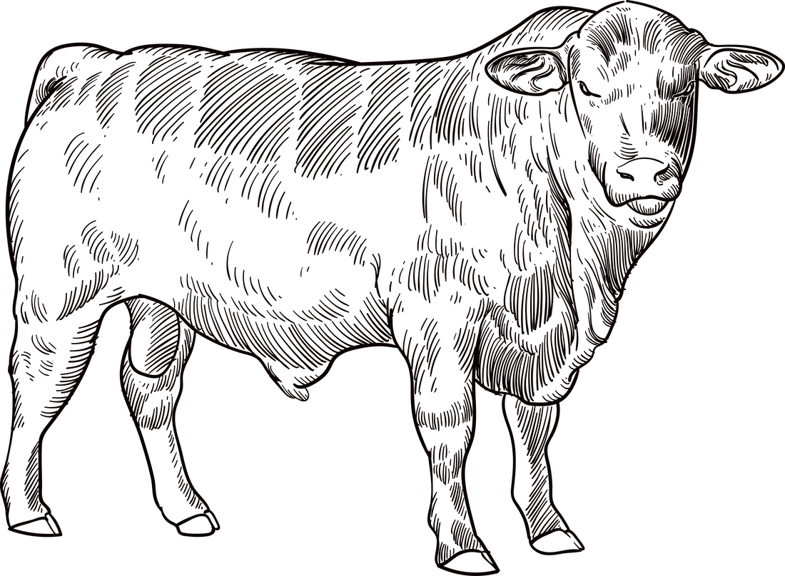 Grassfed Beef – Laughlin Highlands Farm Store