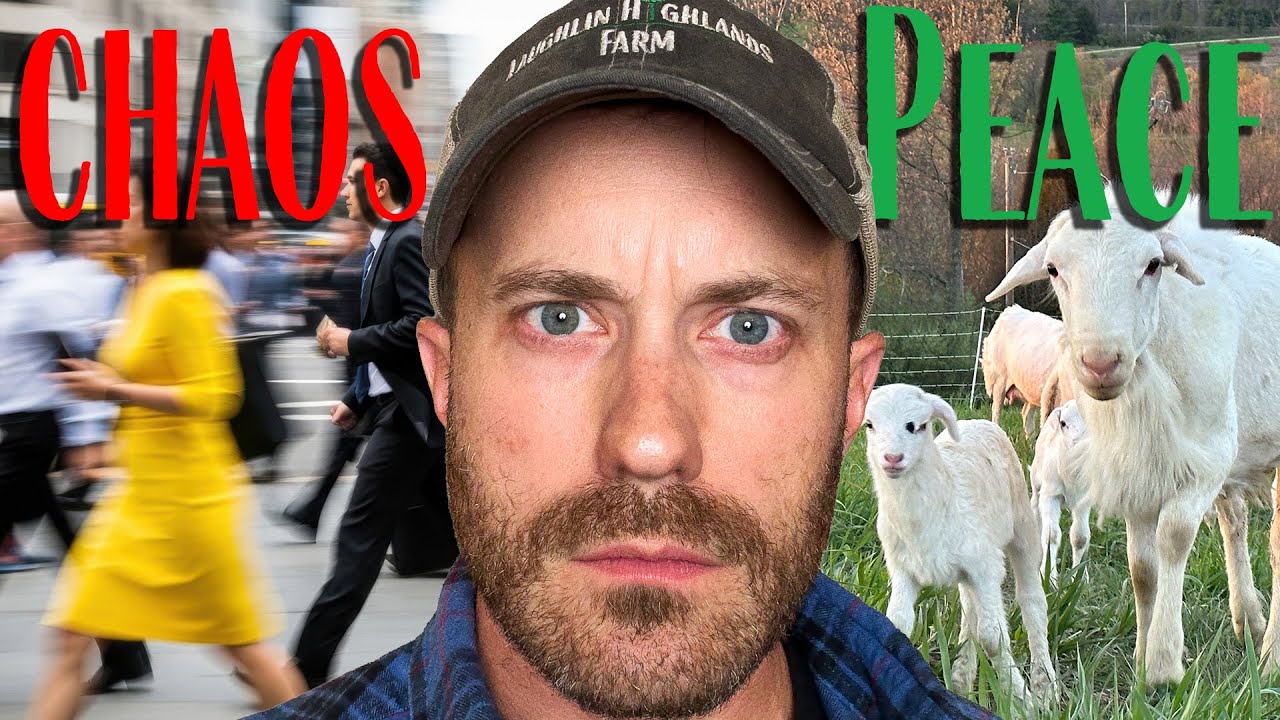 Load video: Why We Became Farmers - Our Story